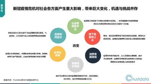 2020年第一季度中国移动互联网行业发展分析报告 研发与维护视角